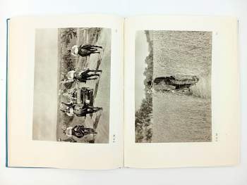 Tomáš Garrigue Masaryk: Masaryk ve fotografii