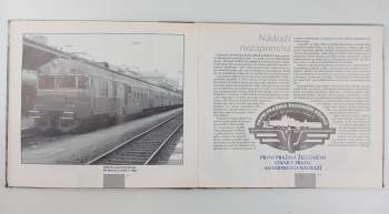 Pavel Schreier: Masarykovo nádraží