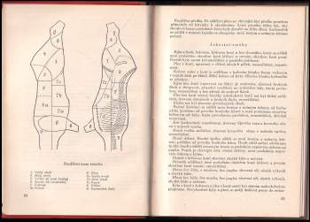 Zdenka Křížková: Maso a masné výrobky