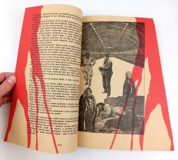 Martin Harníček: Maso