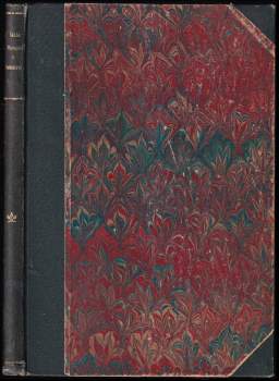 Masopust v Soběslavi