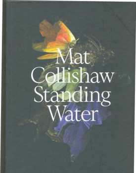 Mat Collishaw