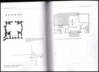 Colin Rowe: Matematika ideální vily a jiné eseje