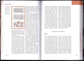 Miroslav Raab: Materiály a člověk