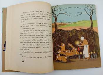 Alena Vrbová: Matička země