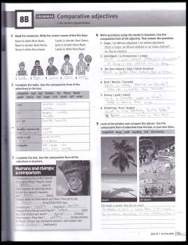 Tim Falla: Maturita Solutions - Elementary, Workbook