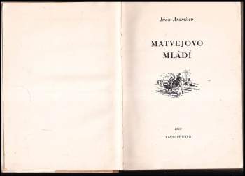 Ivan Andrejevič Aramilev: Matvejevo mládí