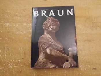 Matyáš Bernard Braun