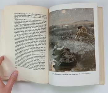 Rudyard Kipling: Maugli - povídky z džungle