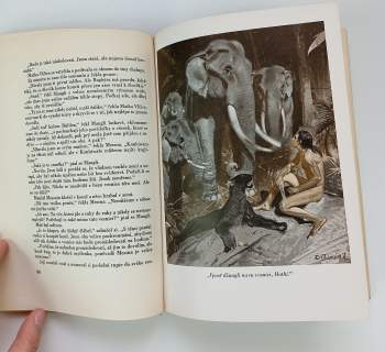 Rudyard Kipling: Maugli - povídky z džungle
