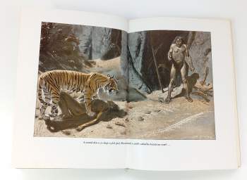 Rudyard Kipling: Maugli - povídky z džungle