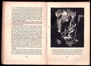 Rudyard Kipling: Mauglí