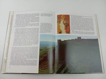 Michael Brett: Mauri