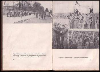 Miloš Vítek: Mauthausen 1942, Dachau 1945
