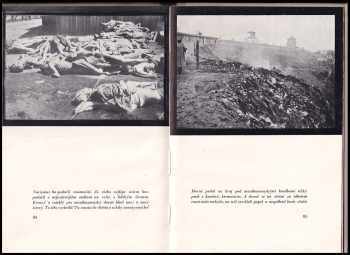 Miloš Vítek: Mauthausen 1942 ; Dachau 1945