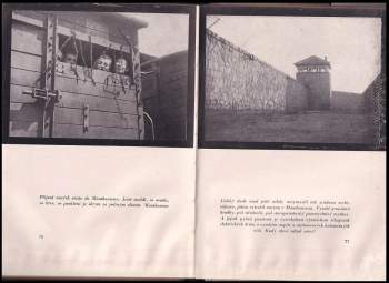 Miloš Vítek: Mauthausen 1942 ; Dachau 1945