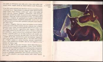 Eva Petrová: Max Ernst