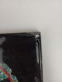 Davide Domenici: Mayové