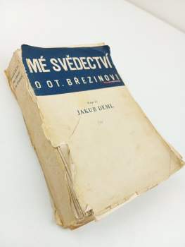 Mé svědectví o Otokaru Březinovi