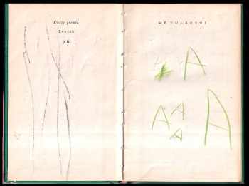 Paul Verlaine: Mé tuláctví