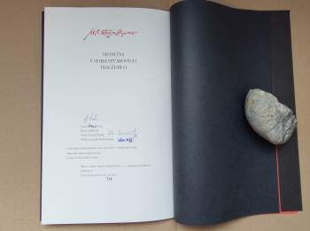 William Shakespeare: Medicína v Shakespearových tragédiích
