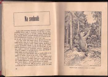 Jaromír Hořejš: Medvěd Pepík a tanečnice Zorka