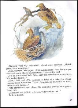 Martina Drijverová: Medvěd Péťa a jeho přátelé