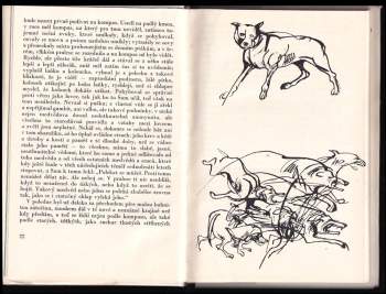 William Faulkner: Medvěd