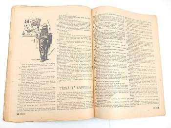 H Gerstmay: Medvědí pramen, Rozruch 125 (20) ročník III.