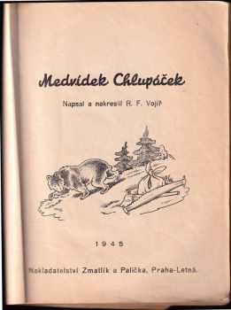 Medvídek Chlupáček