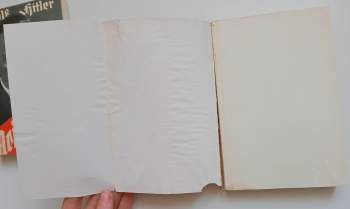 Adolf Hitler: Mein Kampf