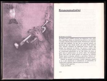 Bohumil Hrabal: Městečko u vody