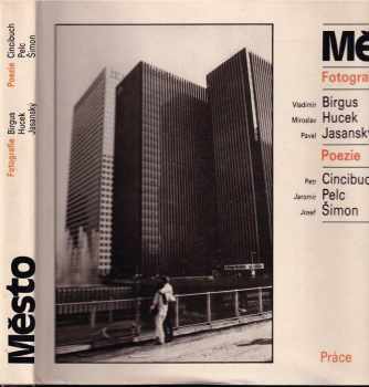 Jaromír Pelc: Město