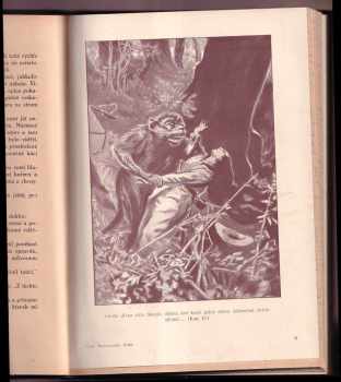 Emilio Salgari: Město malomocného krále