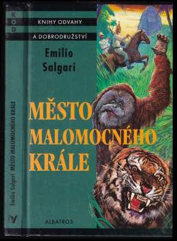 Město malomocného krále