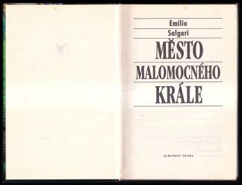 Vladimír Henzl: Město malomocného krále