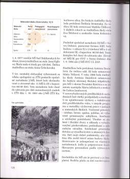 Marián Kvasnička: Mesto Nová Dubnica