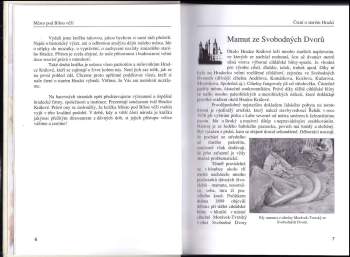 Milan Lajdar: Město pod Bílou věží