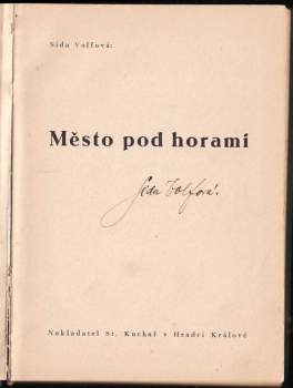 Sida Volfová-Vlková: Město pod horami
