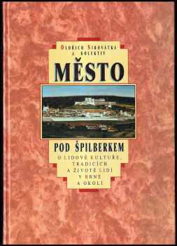 Město pod Špilberkem