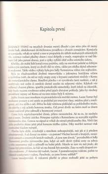 Beverly Swerling: Město snů