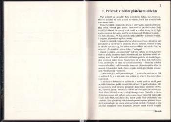 Serge Brussolo: Město strachu