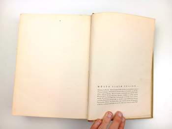 Město vidím veliké