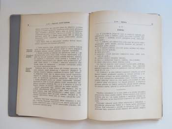 František Kuchař: Městský přepravní řád
