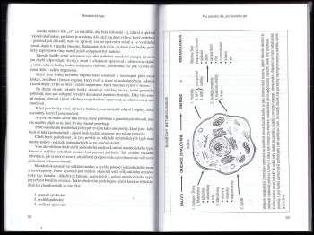 William L Wolcott: Metabolické typy