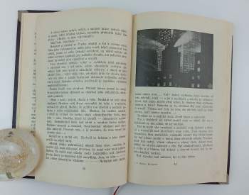 Thea von Harbou: Metropolis