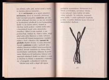 Lawrence Ferlinghetti: Mexická noc