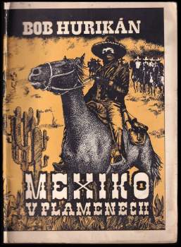 Mexiko v plamenech