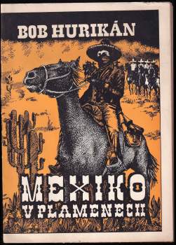 Mexiko v plamenech