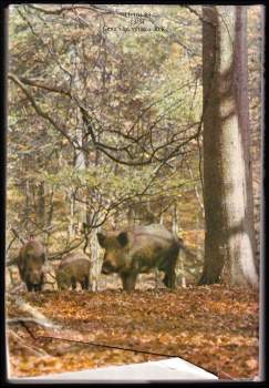 Heinz Meynhardt: Mezi divočáky